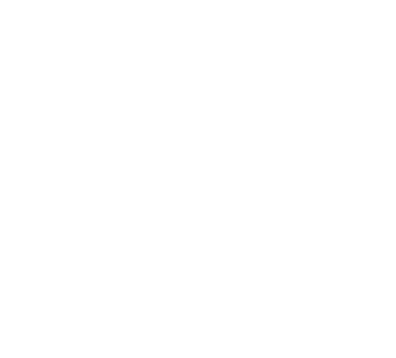 Logo Saint-Augustin SA